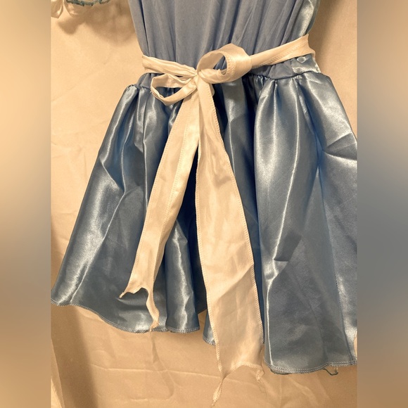 Alice in Wonderland Juniors costume dress - Picture 9 of 12